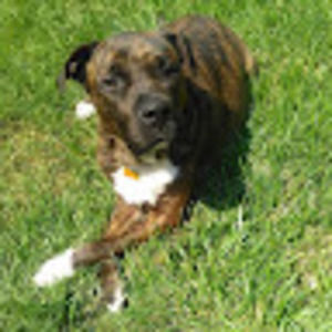 Meet your Posher, Ella